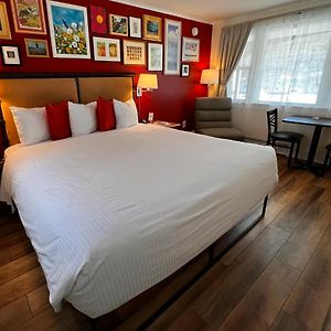 King Room Dog Friendly