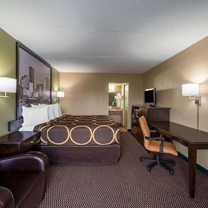 King Room Dog Friendly