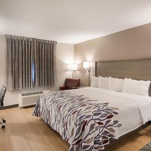 Deluxe  King Room Disability Access