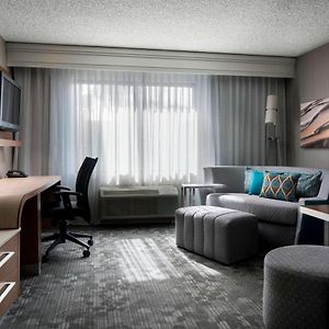 One-Bedroom King Suite