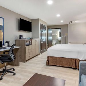 King Room Disability Access