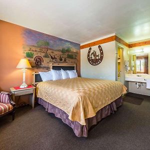 King Room Non-Smoking