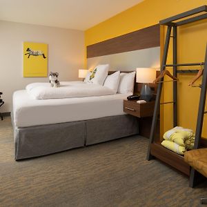 King Room Mobility accessible