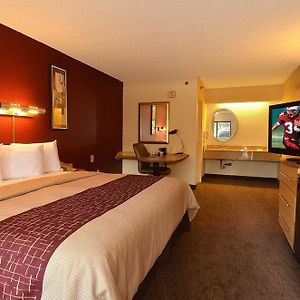 Superior  King Room Disability Access