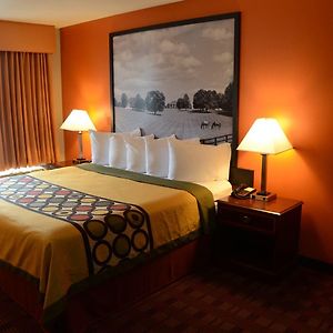 King Room Mobility accessible