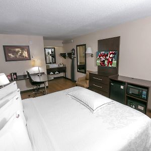 Upgraded King Room