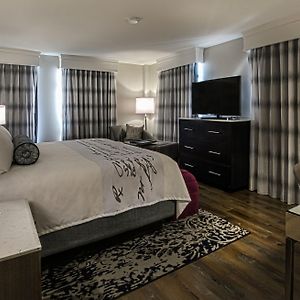 One-Bedroom King Suite