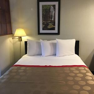 Deluxe Queen Suite