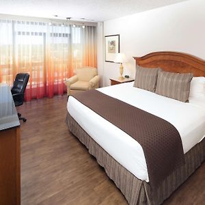 King Room Disability Access