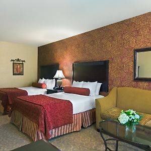 Queen Suite
