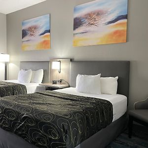 La Quinta By Wyndham Tampa Central
