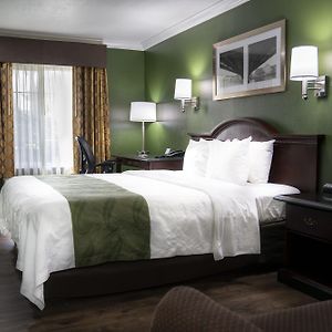 King Room Mobility accessible