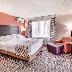 King Room Mobility accessible