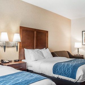 Double Room Mobility accessible