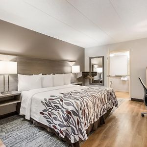 Deluxe  King Room Disability Access