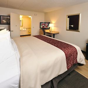 Standard King Room Disability Access