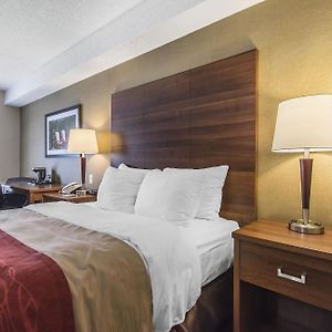 King Room Mobility accessible