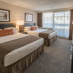 Superior One-Bedroom Suite