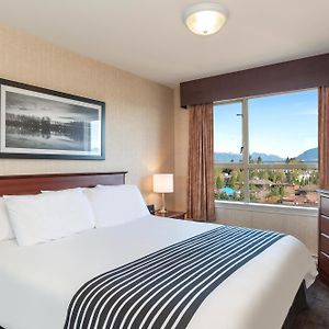 Standard King Suite