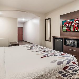 Superior  King Room Disability Access