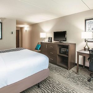 King Room Mobility accessible
