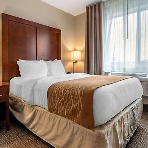 Double Room Mobility accessible