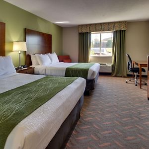 Standard King Suite
