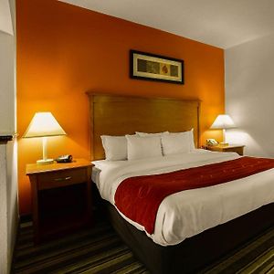 Deluxe Queen Suite