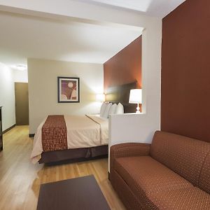 Superior King Suite
