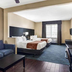 Queen Suite