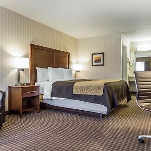 King Room Mobility accessible