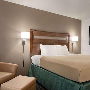 King Room Mobility accessible