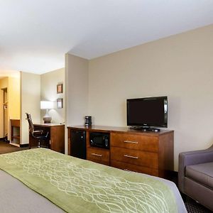 Superior King Suite