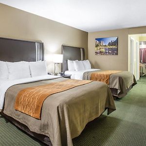 Comfort Inn Yosemite Area