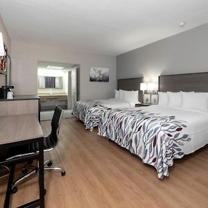 Deluxe  Double Room Disability Access