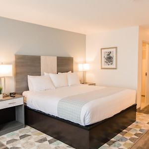 Signature King Room