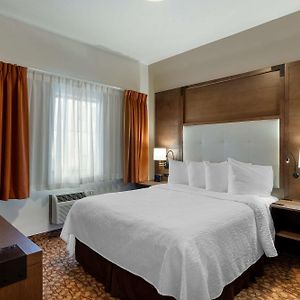 Queen Suite