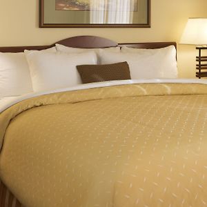 Executive King Suite