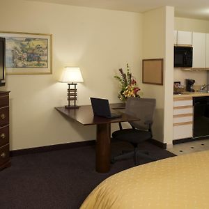 Studio Suite