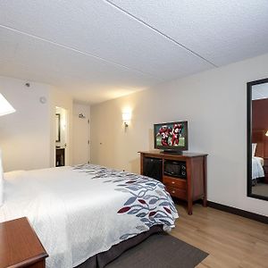 Standard Double Room Disability Access