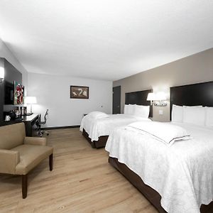 Premium Room Two Double Beds Upgraded Bedding & Snack Box