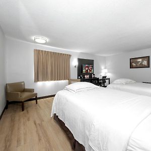 Premium King Room Smoke Upgraded Bedding & Snack Box
