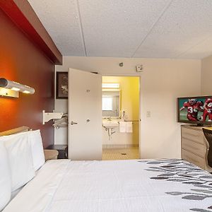 King Room Disability Access