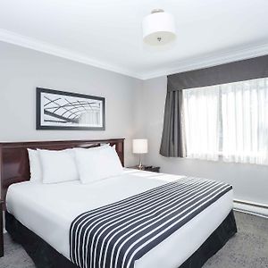 Standard King Suite