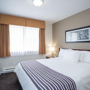 Standard King Suite