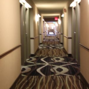 Double Room Mobility accessible