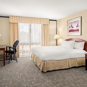 King Room Disability Access