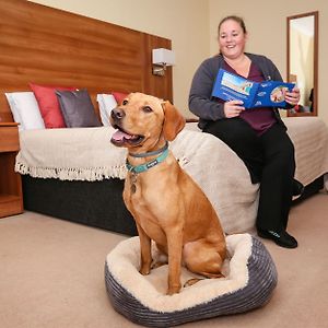 Room Dog friendly