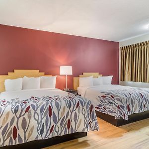 Queen Suite