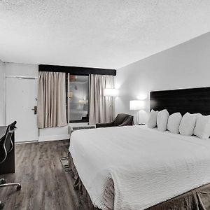 King Room Disability Access